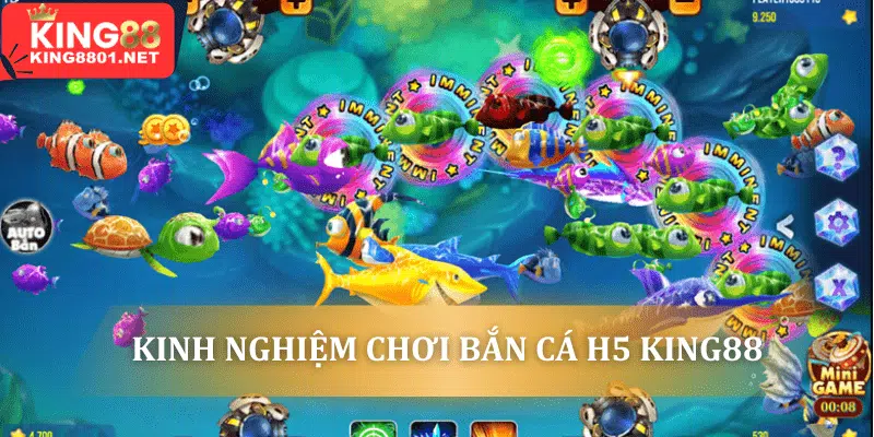Kinh nghiệm chơi bắn cá h5 tại king88